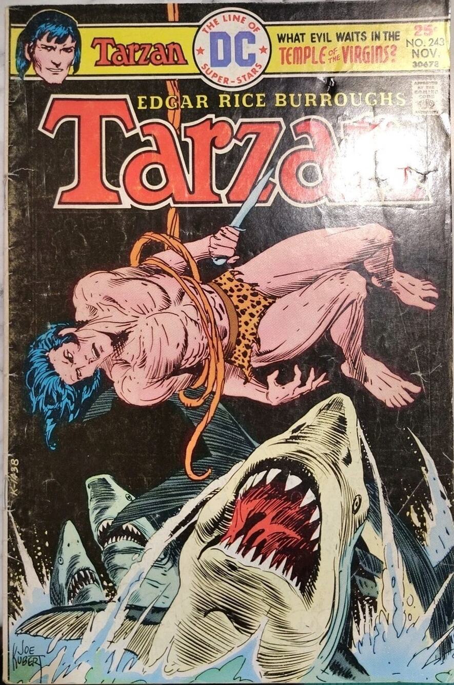 Tarzan Comic #243